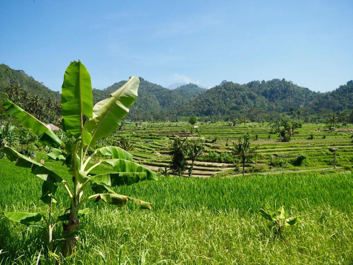 Green Vanilla Bungalow Sidemen  Luaran gambar